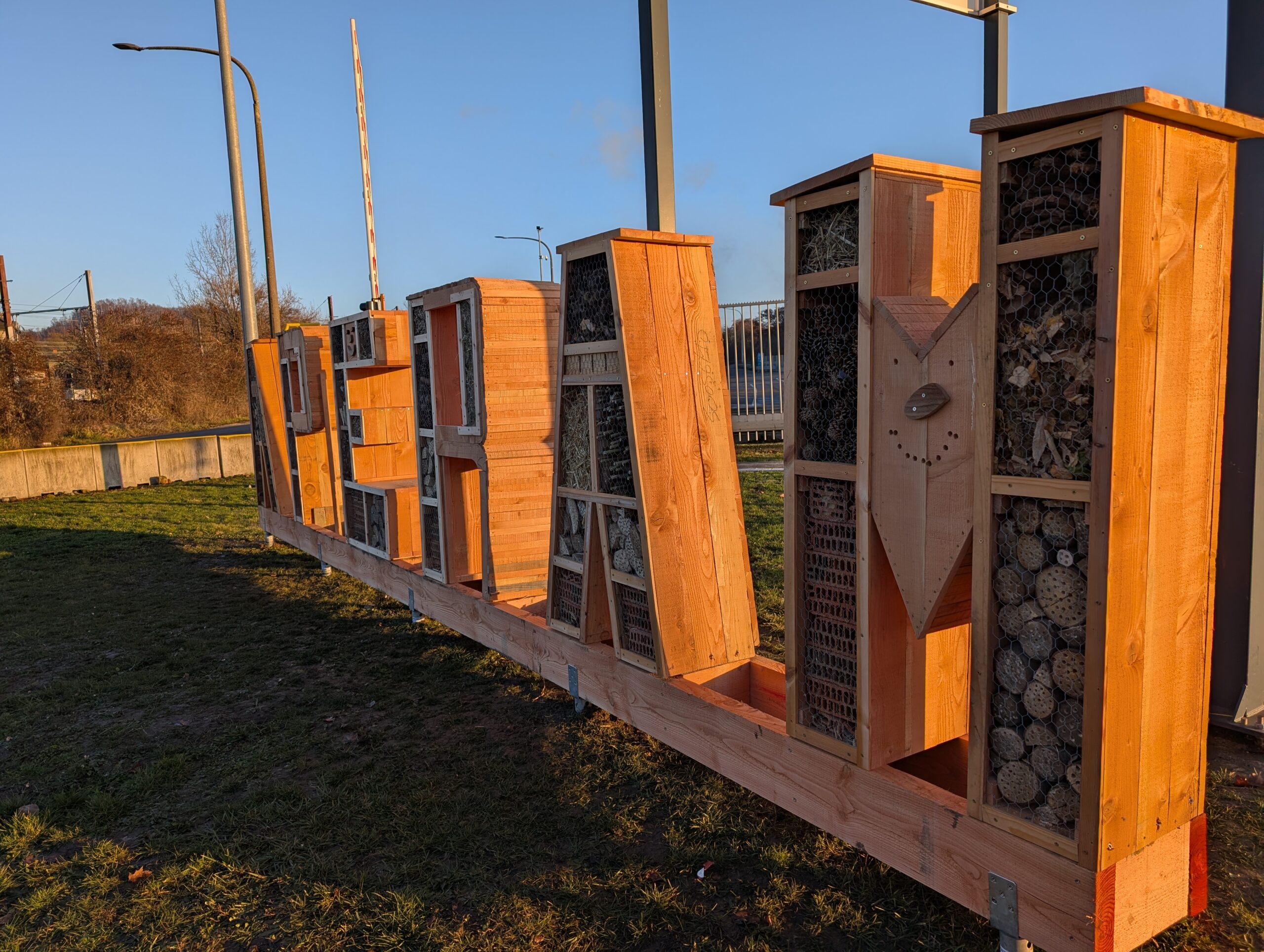 Nos lettres prennent vie : un hôtel à insectes au cœur de notre engagement environnemental